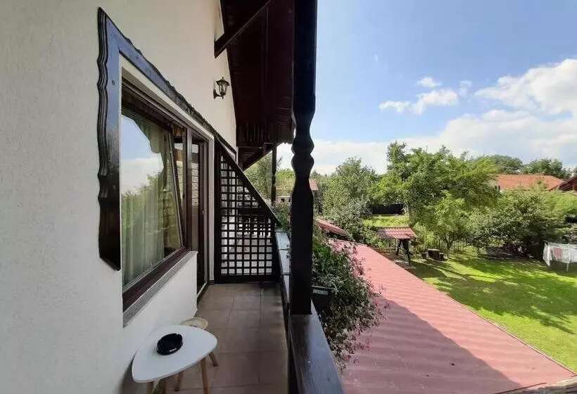 Pensiune Vila Nicolai