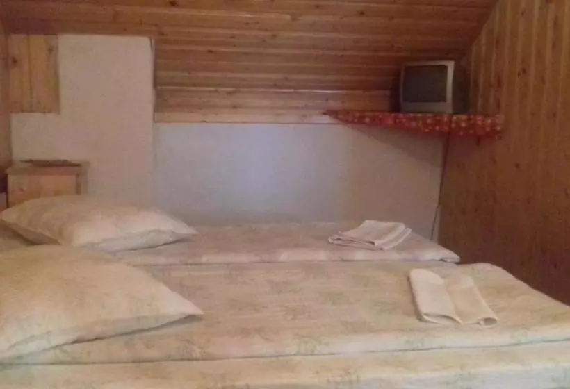 Pensiunea Răzvan