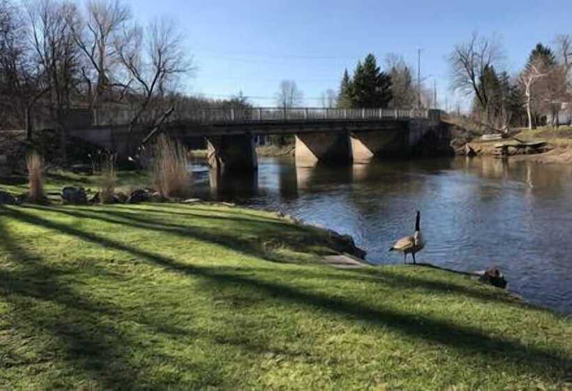 فندق صغير Cheltenham Suites