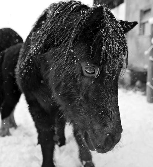 בית מלון כפרי Klampfererhof