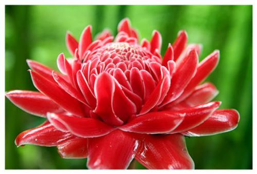 Пансион Dahla House Ranong