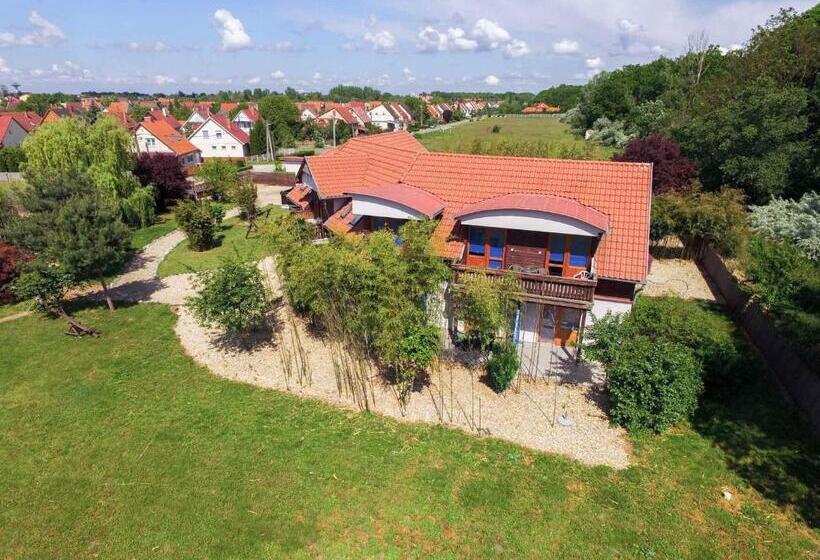 Pensionat Owlcastle Bagolyvár