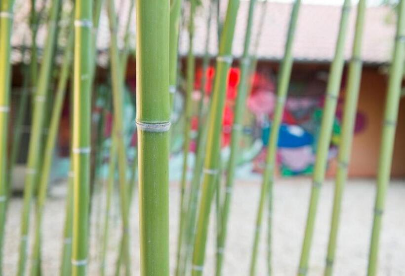 Pensionat Owlcastle Bagolyvár