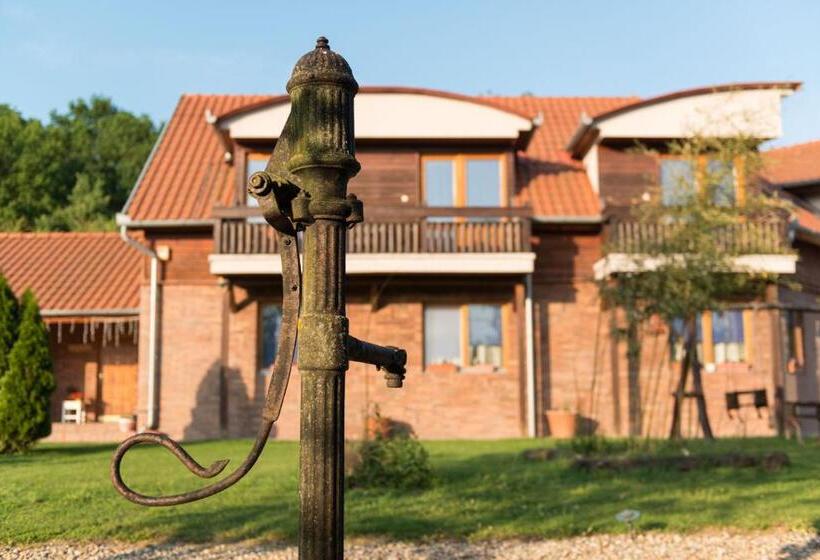 Pensionat Owlcastle Bagolyvár