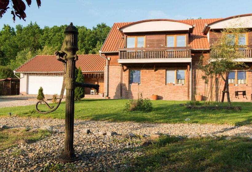 Pensionat Owlcastle Bagolyvár