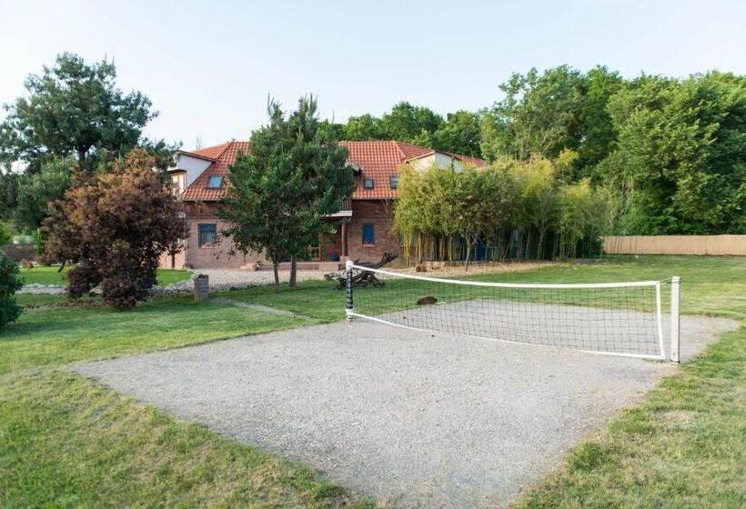 Pensionat Owlcastle Bagolyvár