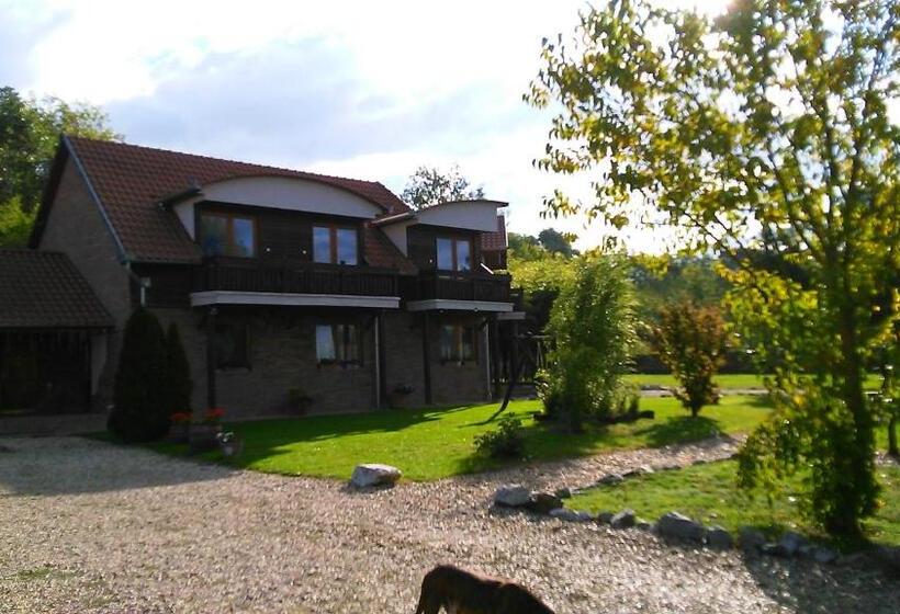 Pensionat Owlcastle Bagolyvár