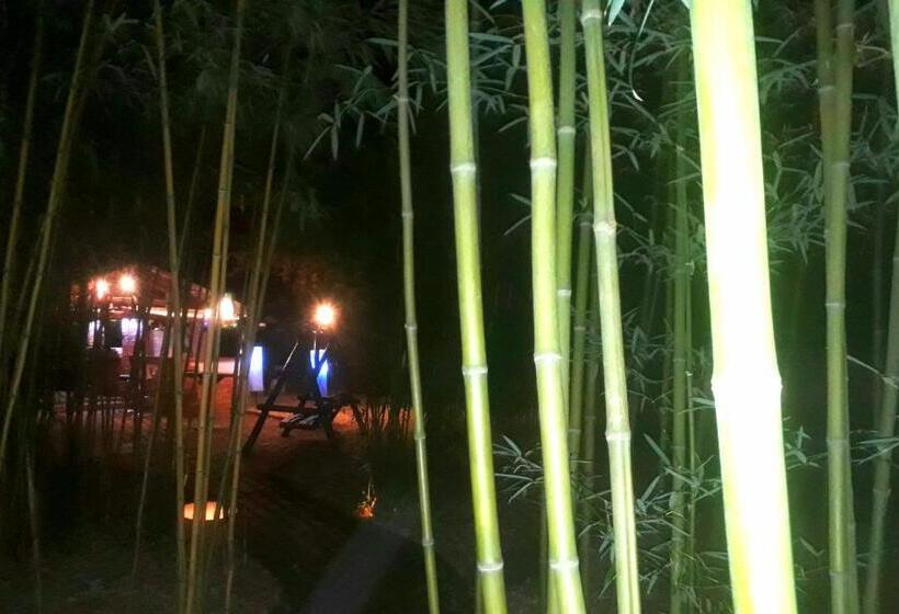 Pensionat Owlcastle Bagolyvár