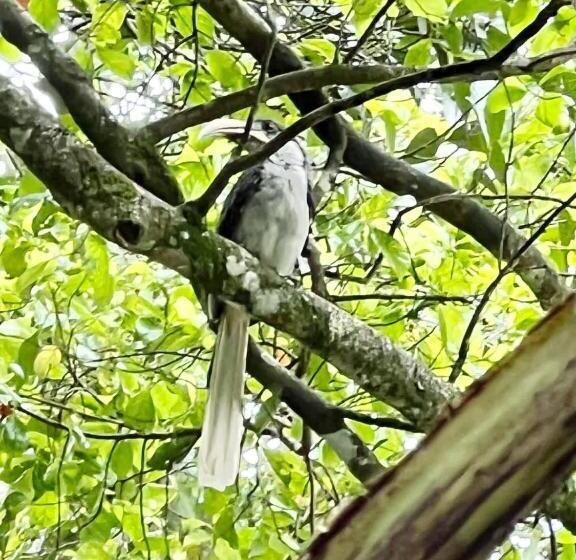 펜션 Ella Secret Paradise