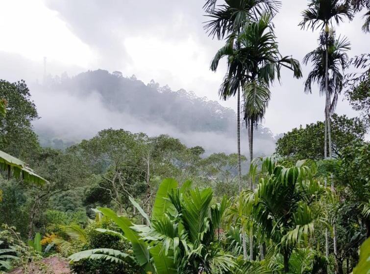 펜션 Ella Secret Paradise