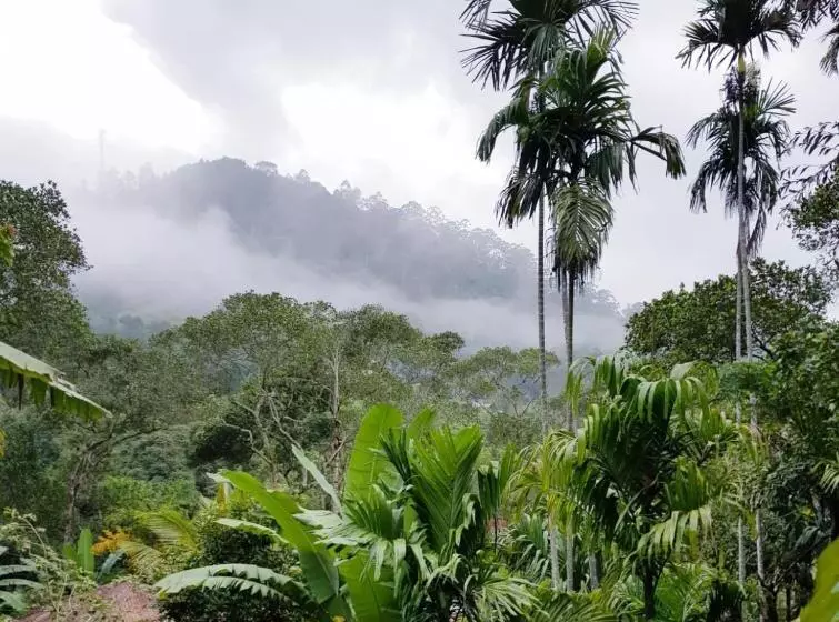 پانسیون Ella Secret Paradise