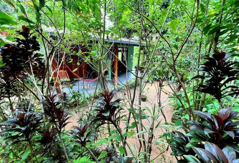 پانسیون Ella Secret Paradise