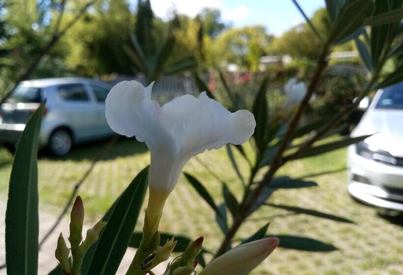 פנסיון Sorompó Vendégház