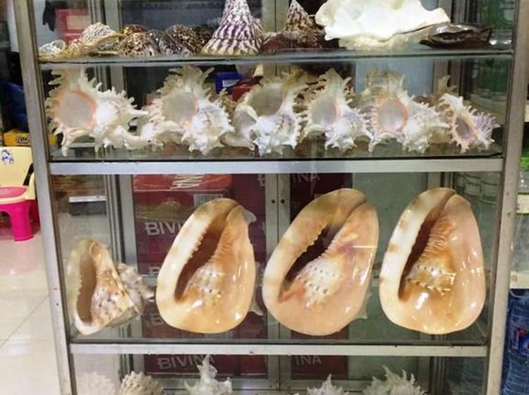 پانسیون Y Thu Guesthouse