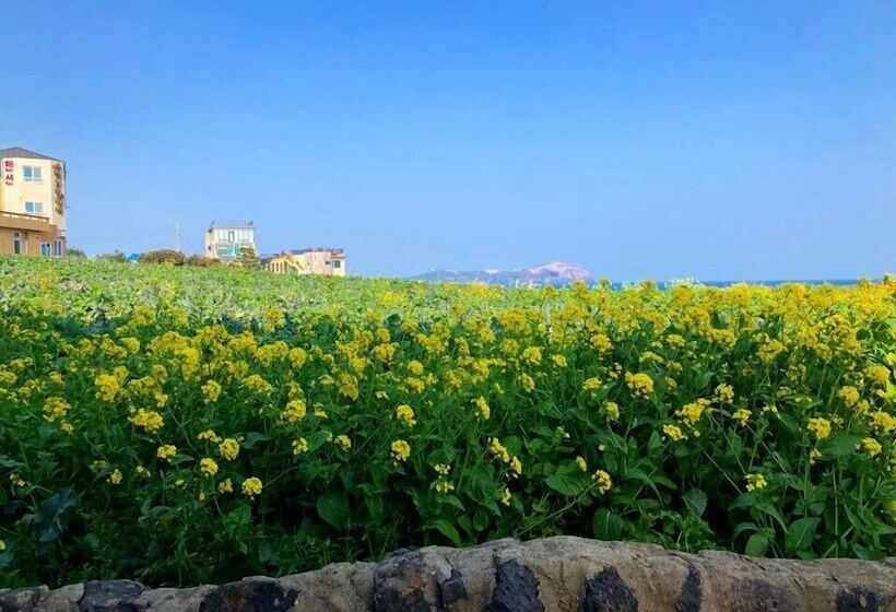 Pensão Long Island Guesthouse Hostel