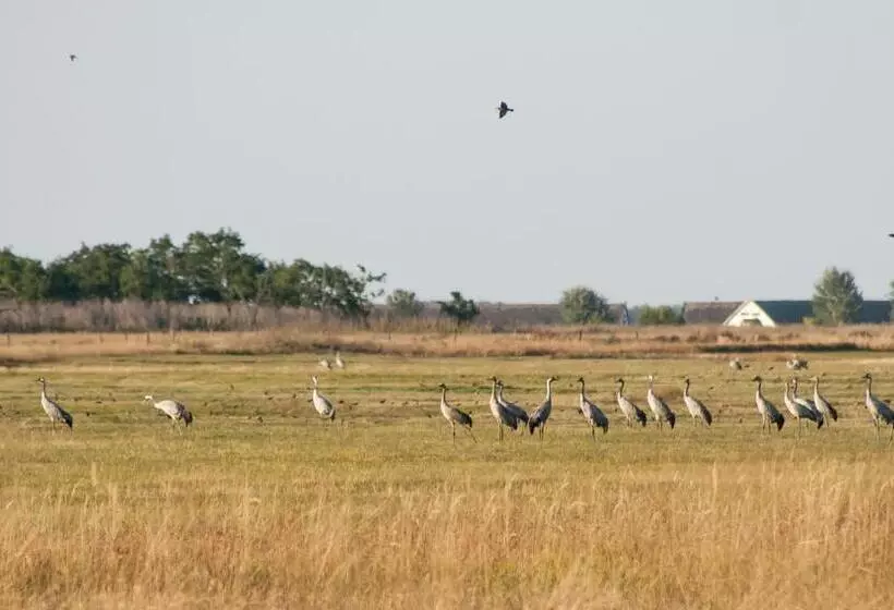 Majatalo Sasfészek   Falusi Szálláshely