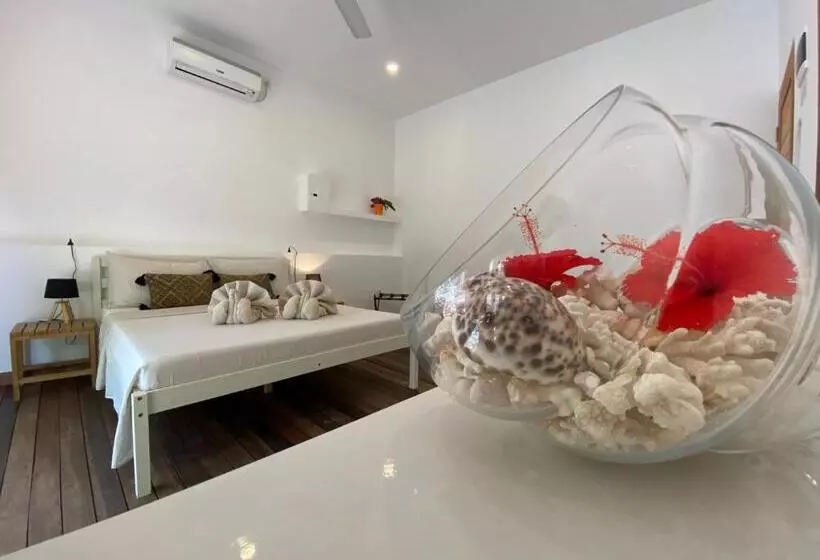 پانسیون Villa Kudì Maldives Guest House Thulusdhoo