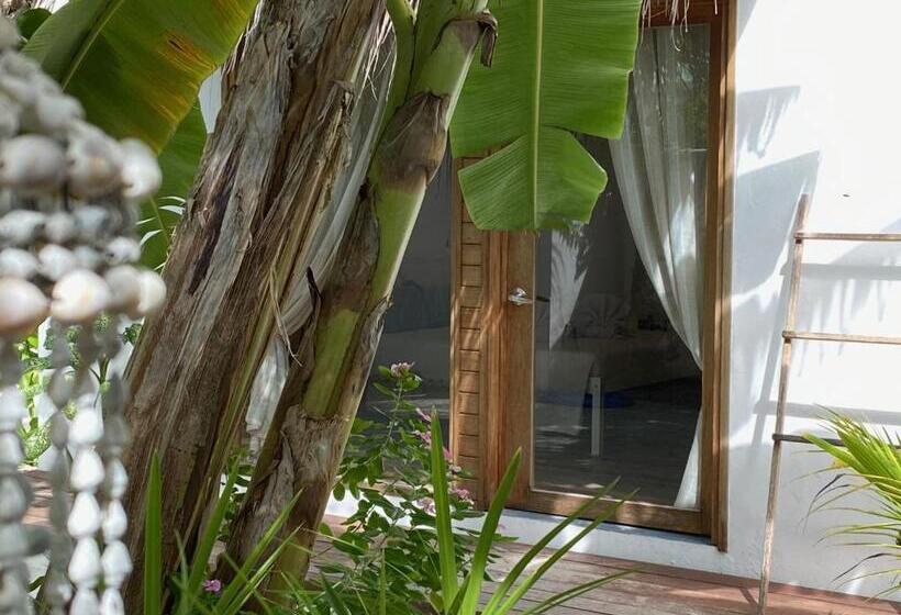 پانسیون Villa Kudì Maldives Guest House Thulusdhoo
