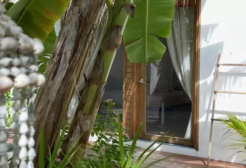 پانسیون Villa Kudì Maldives Guest House Thulusdhoo