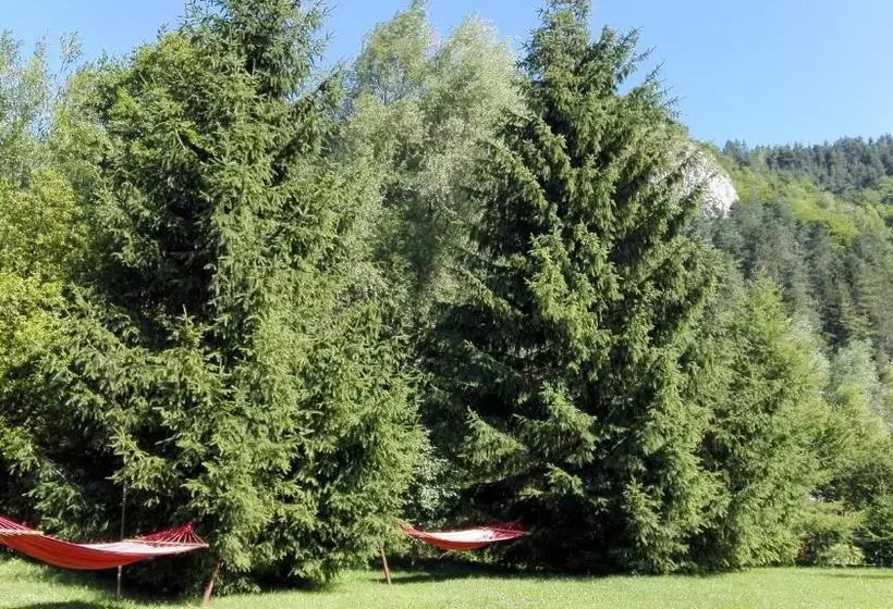 Pensiunea Alpin