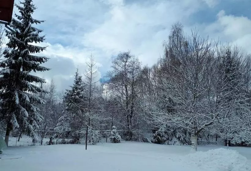 Pensiunea Alpin