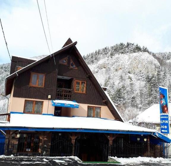 Pensiunea Alpin