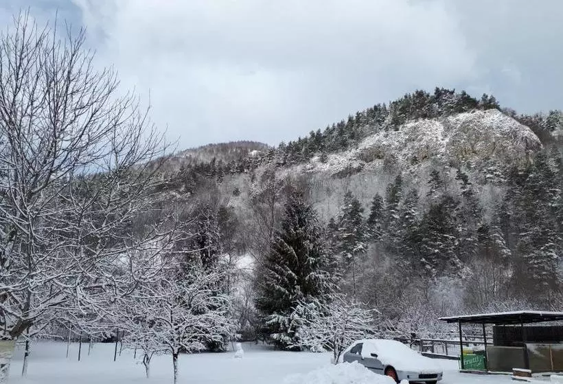 Pensiunea Alpin
