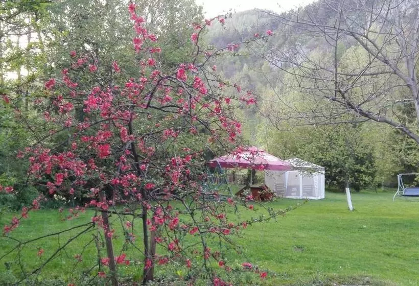 Pensiunea Alpin