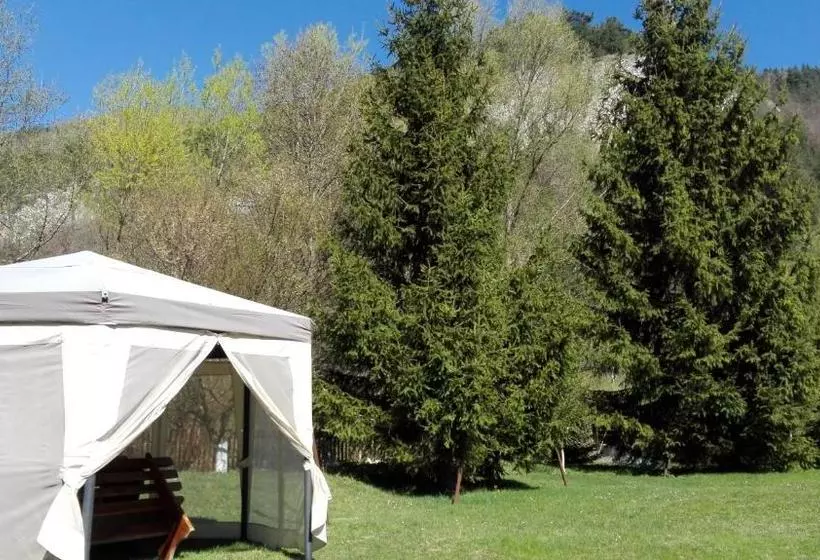 Pensiunea Alpin