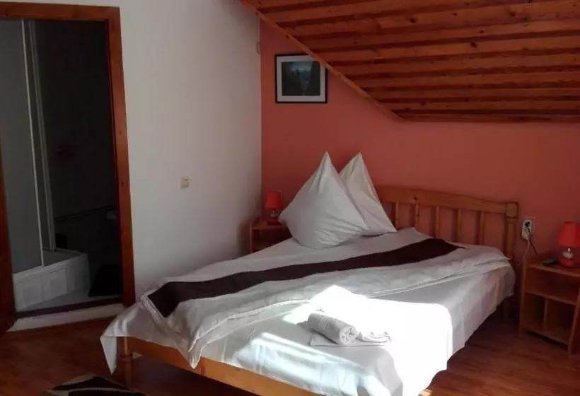 Pensiunea Alpin