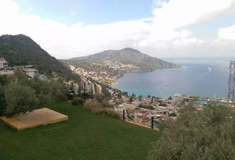 The Mediteran