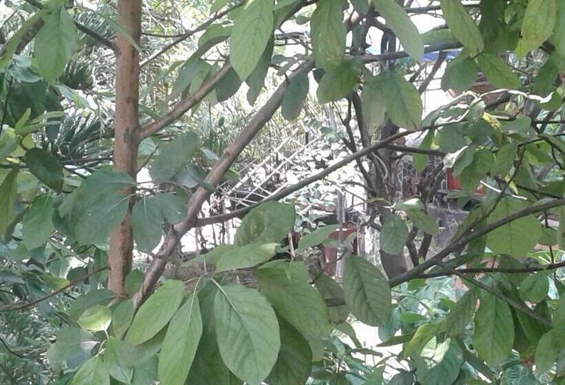 پانسیون Managua Hills