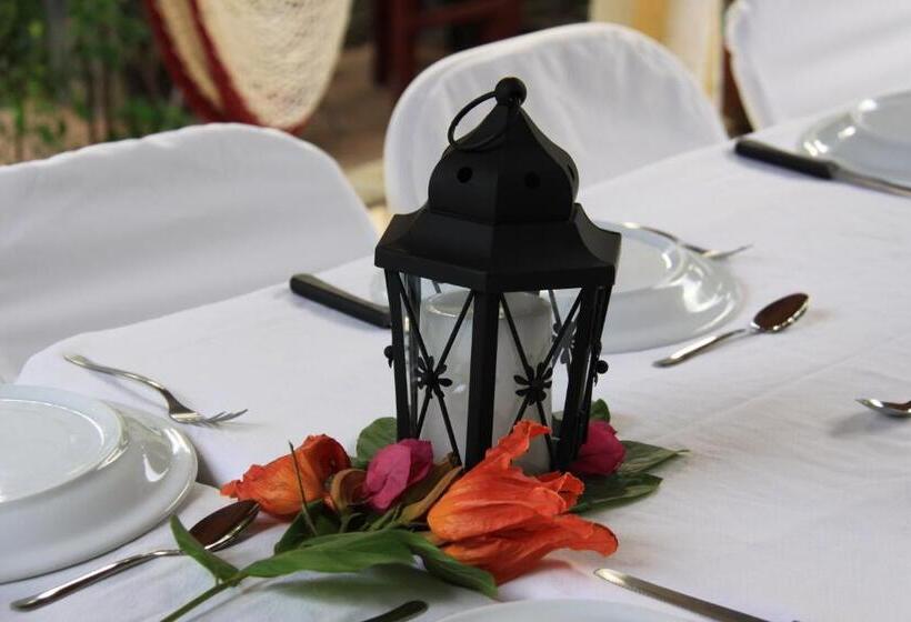 پانسیون Managua Hills