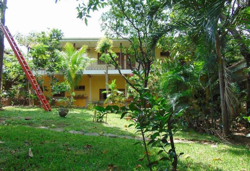 پانسیون Managua Hills