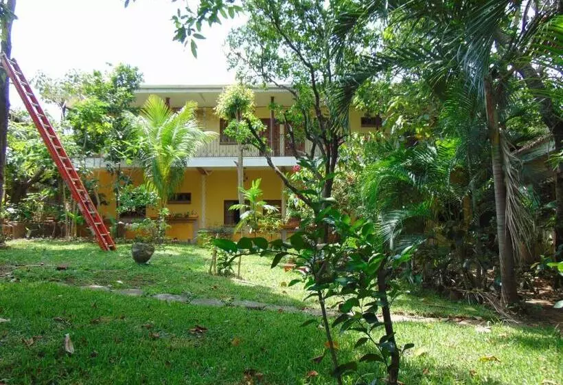 پانسیون Managua Hills