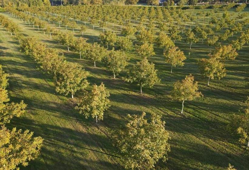 펜션 Domaine De La Noiseraie