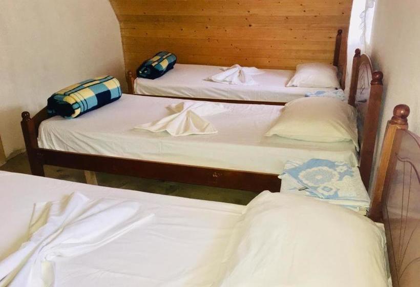 Pensão Guesthouse Dritan Tethorja