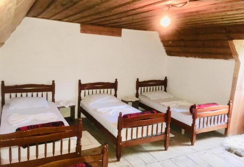 Pensão Guesthouse Dritan Tethorja