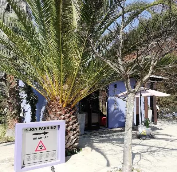 Majatalo Willow Place Guest House