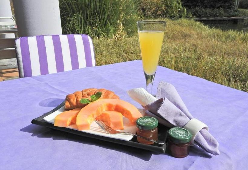 Pension Willow Place Guest House