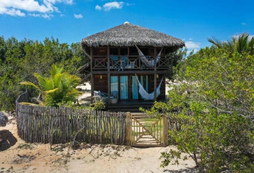 膳宿费 Kitejuba Bungalows