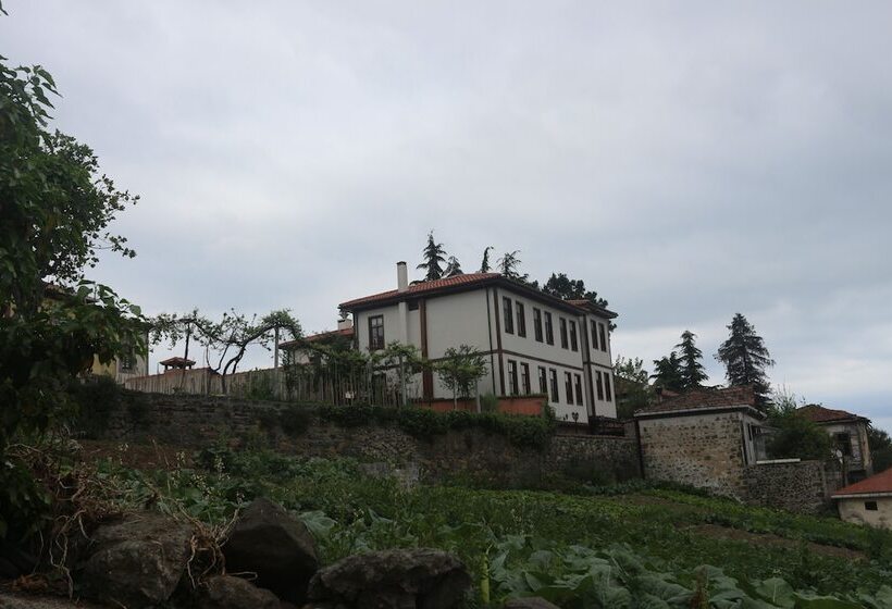 هاستل Kanoglu Konagi