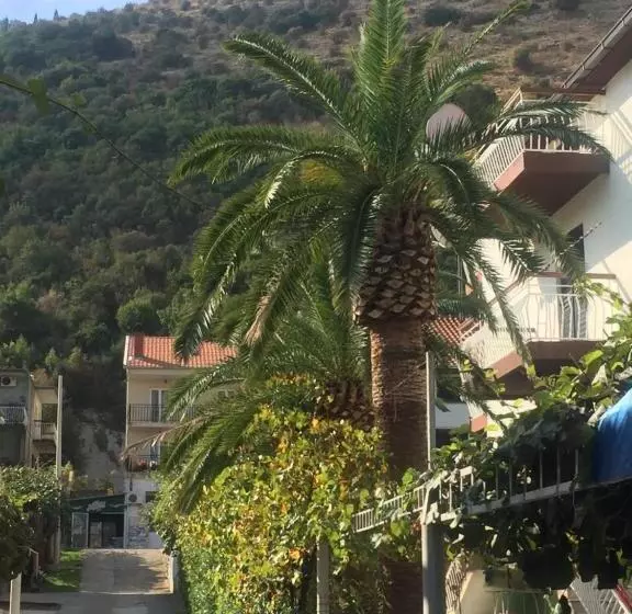 پانسیون Guest House Bajceta