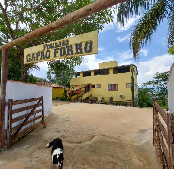 ペンション Pousada Capão Fôrro