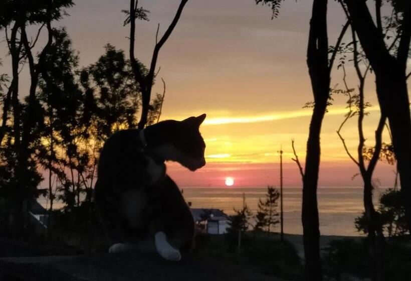 פנסיון Echizen Guesthouse Tamada