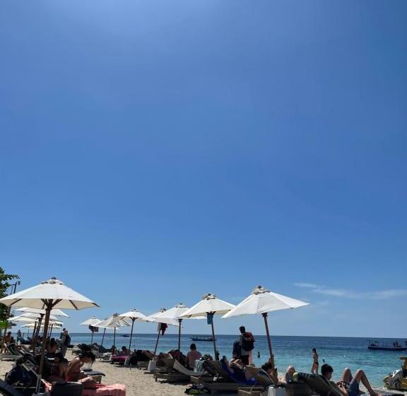 ペンション Zipp Bar Restaurant & Bungalows