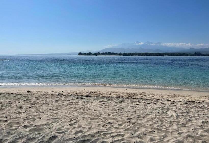 ペンション Zipp Bar Restaurant & Bungalows