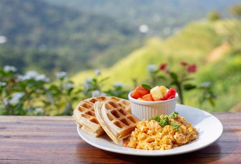 Общежитие Mundo Nuevo Eco Lodge