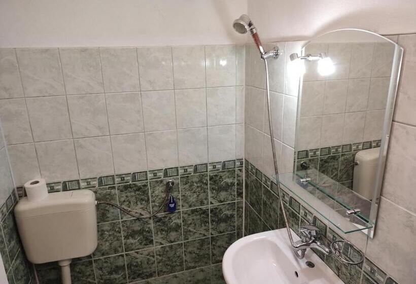 پانسیون Zlatevi Guest House