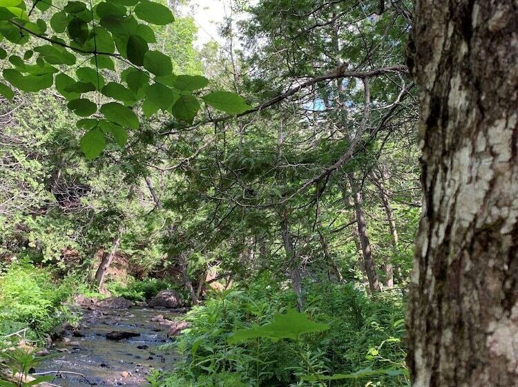 旅馆 Auberge Closjoli